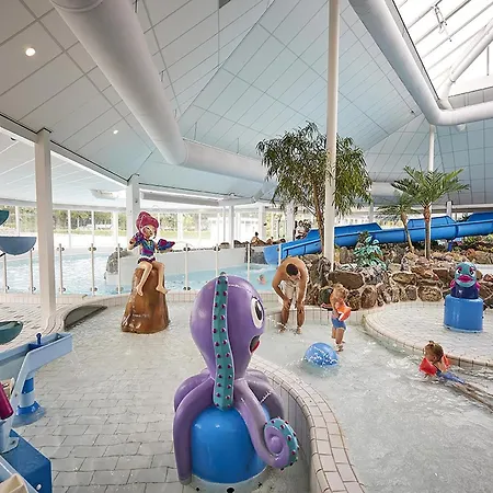 In Limburg With Sauna & Bbq Villa *